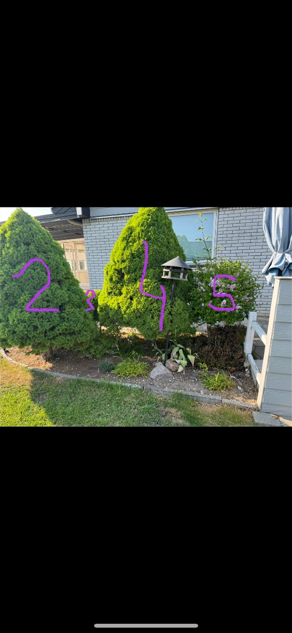 Udgravning til trampolin og træer