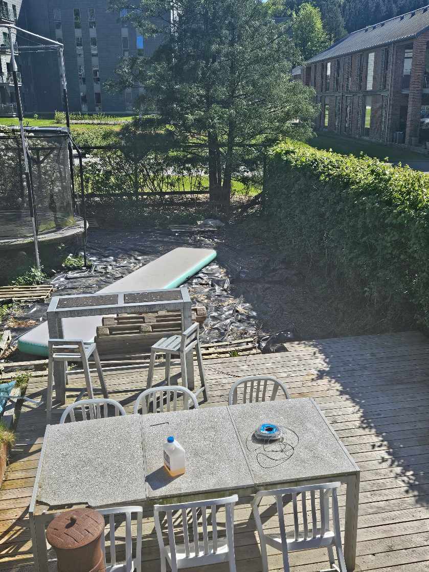 Fjerne hæk og tilså med markblomster