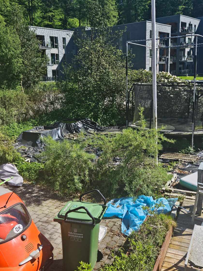 Fjerne hæk og tilså med markblomster